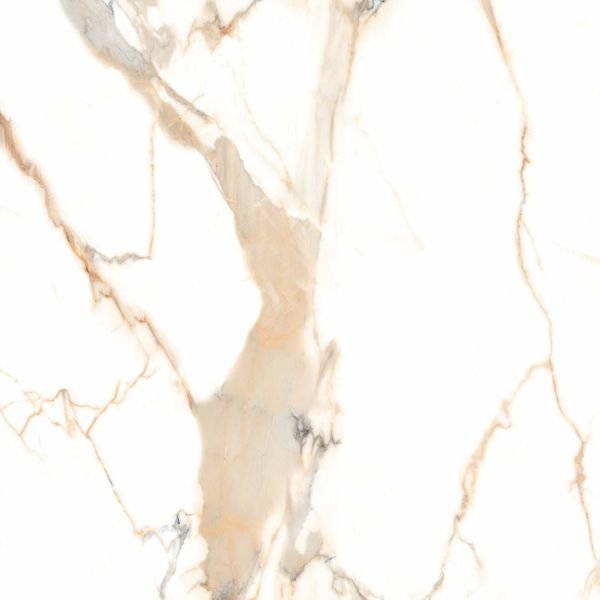 Calacatta Gold-polished-600x600-single-tile